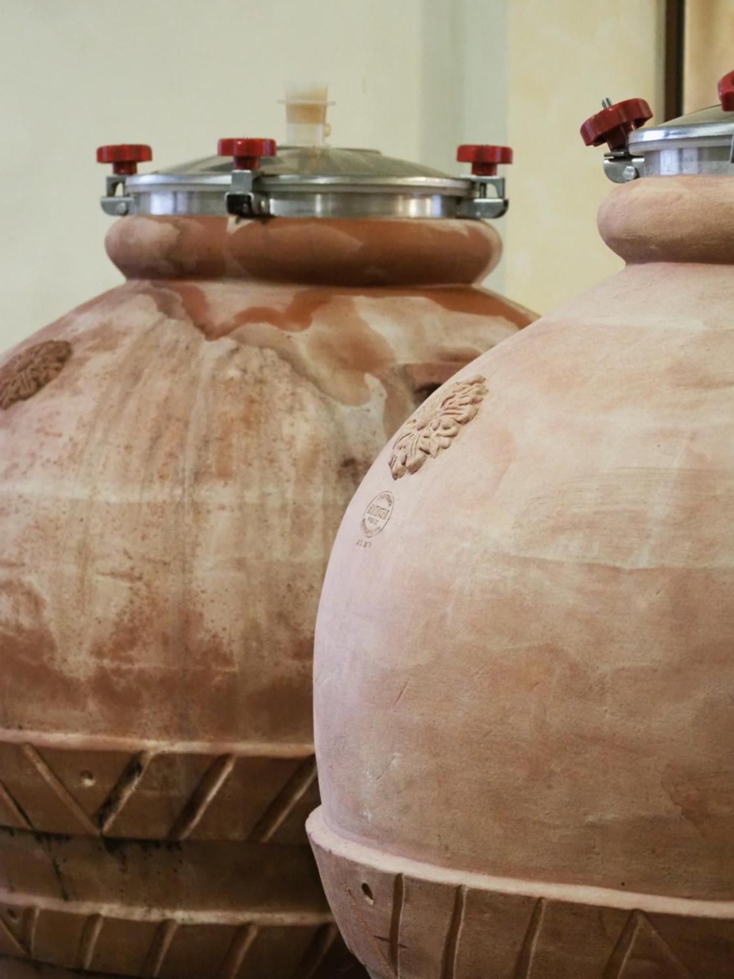 Azienda Agricola Ca' Lunga Cinto Euganeo Zewnętrze zdjęcie