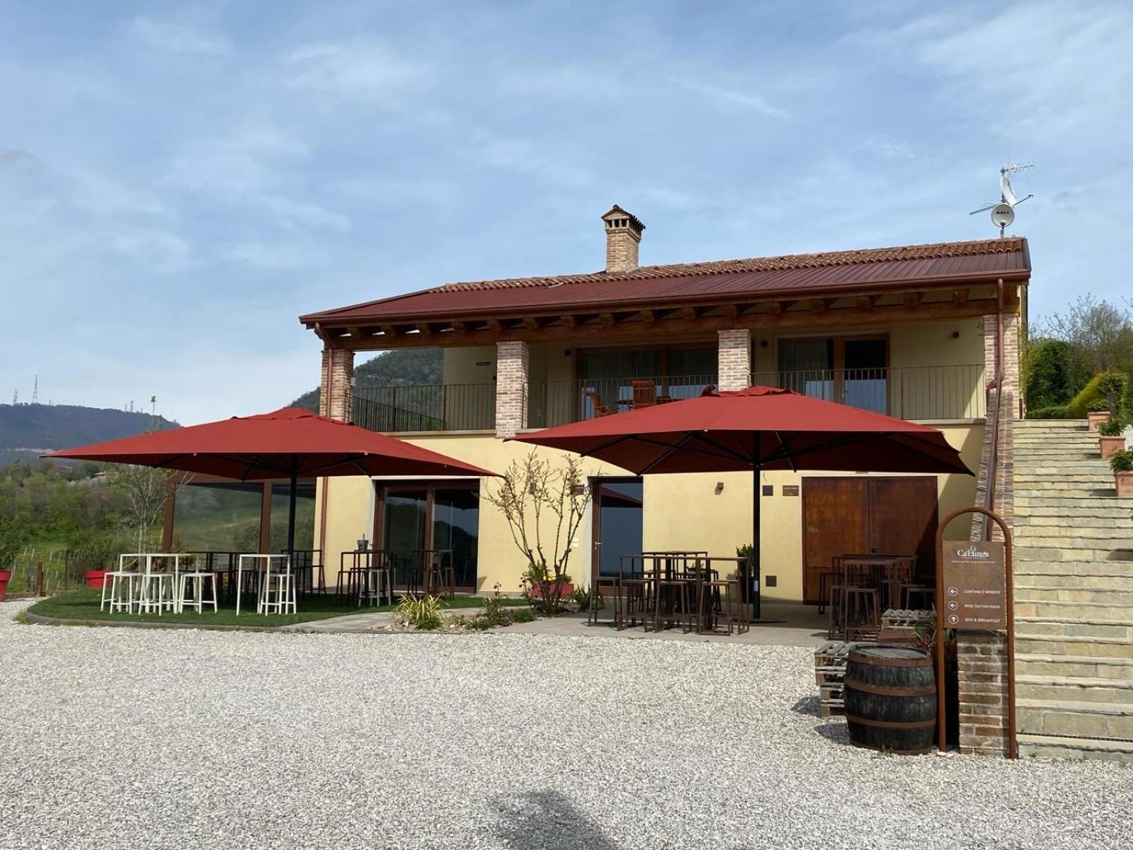 Azienda Agricola Ca' Lunga Cinto Euganeo Zewnętrze zdjęcie
