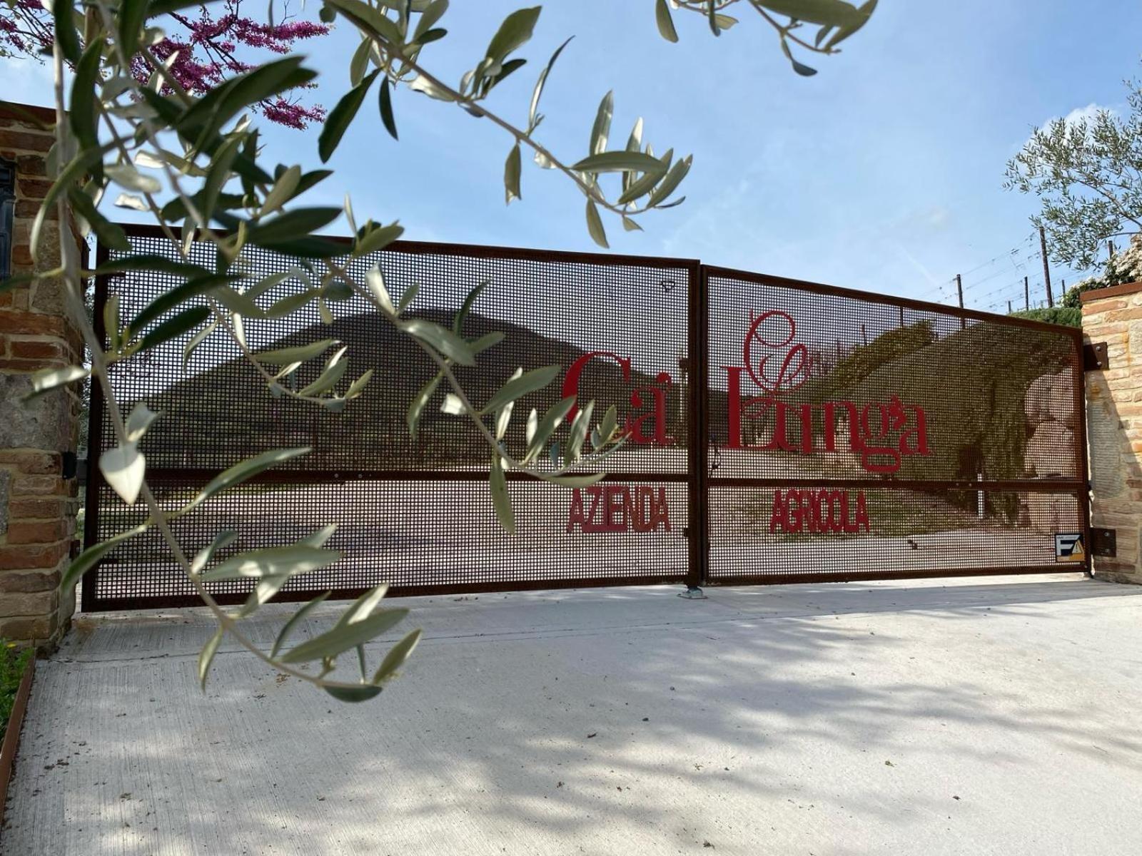 Azienda Agricola Ca' Lunga Cinto Euganeo Zewnętrze zdjęcie